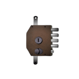 Décodeur Serrure Iseo Perfecta - Précision et Efficacité